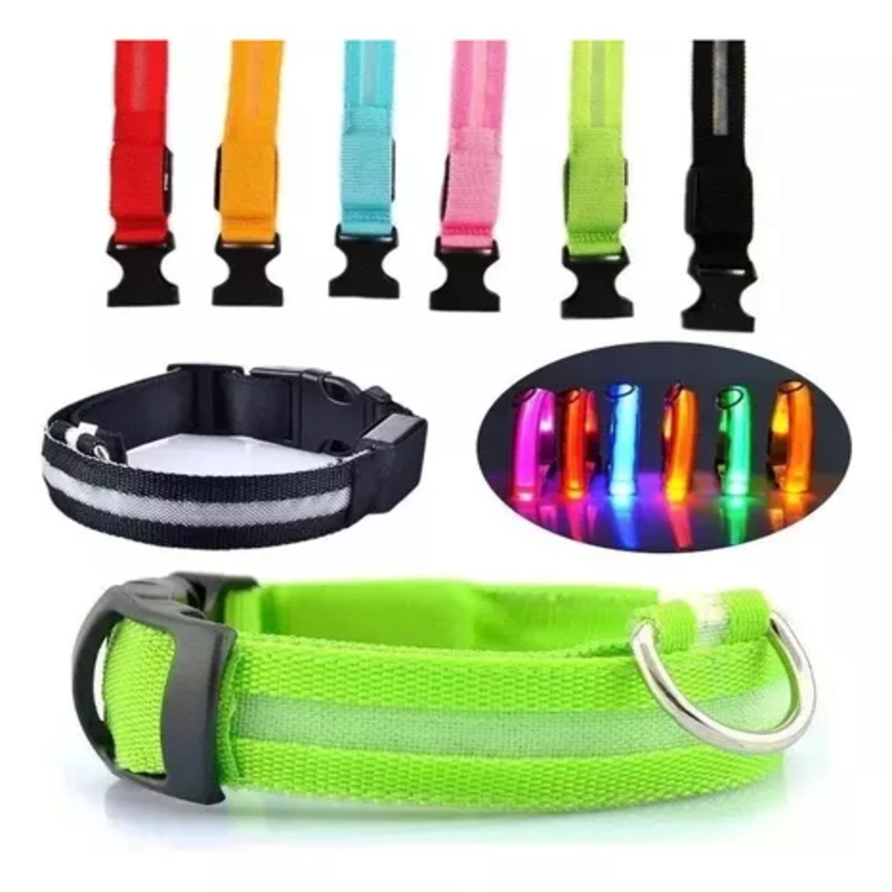 💡Collar LED para Mascotas 🐾 | Seguridad y Visibilidad